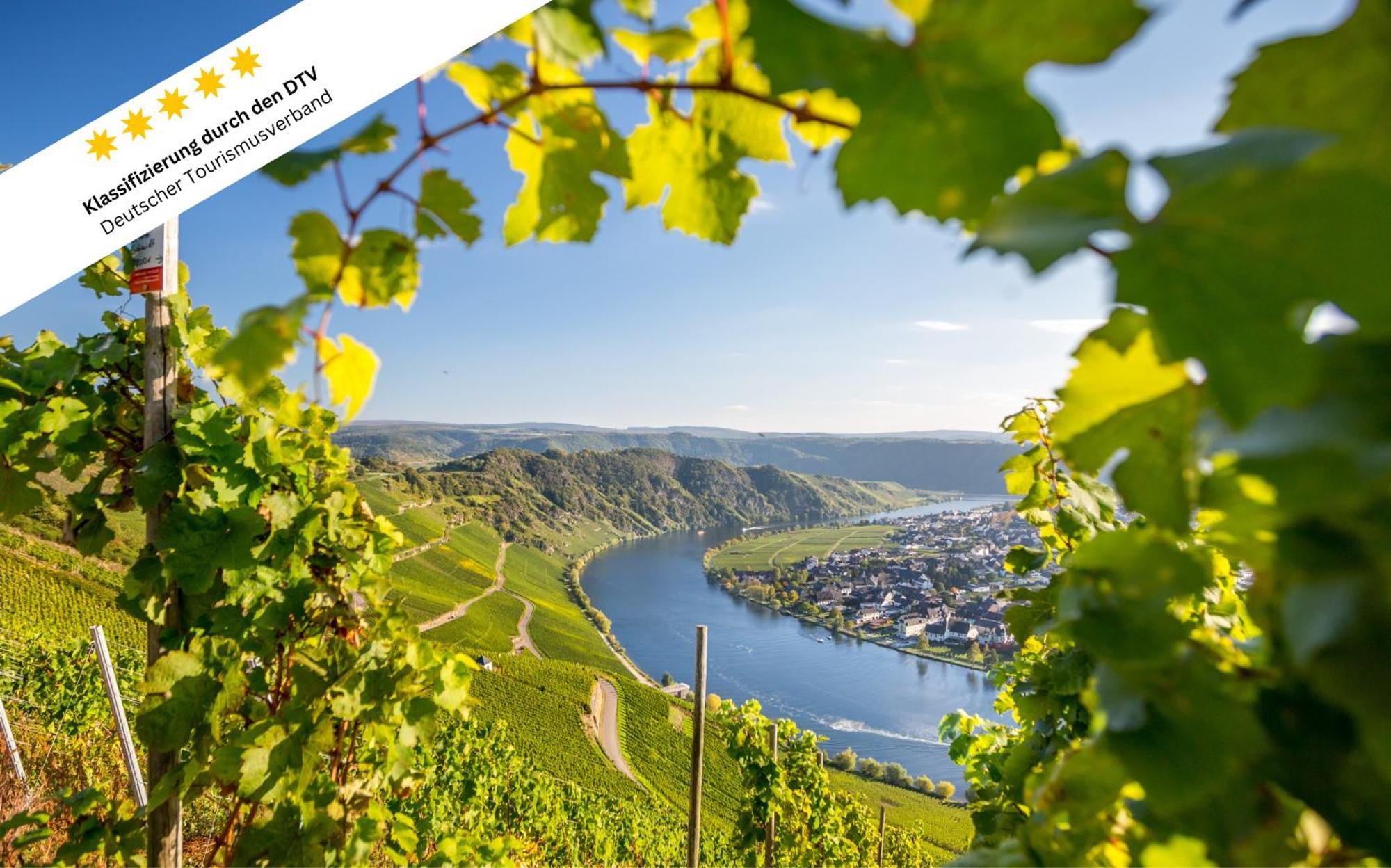 Wohlfuehloase An Der Mosel Daire Osann-Monzel Dış mekan fotoğraf
